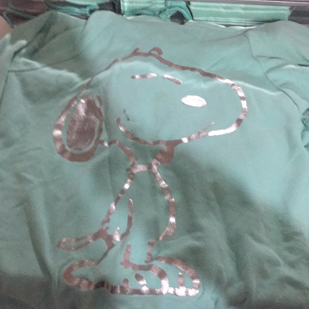 Mint snoopy hoddie